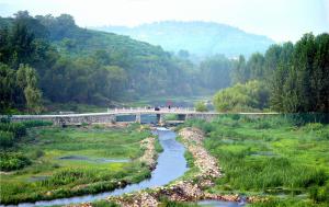 Saving the wetlands in action