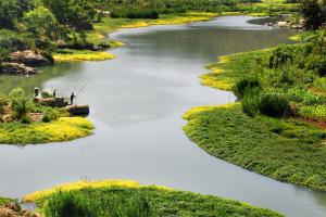 Save the Wetland Action: Building a Wetland Park
